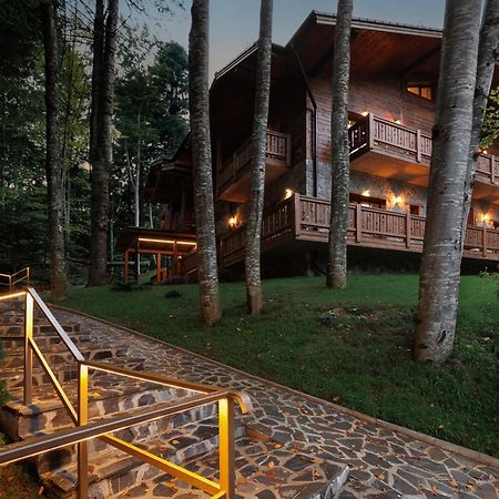 Chalet Royal سِنايا المظهر الخارجي الصورة